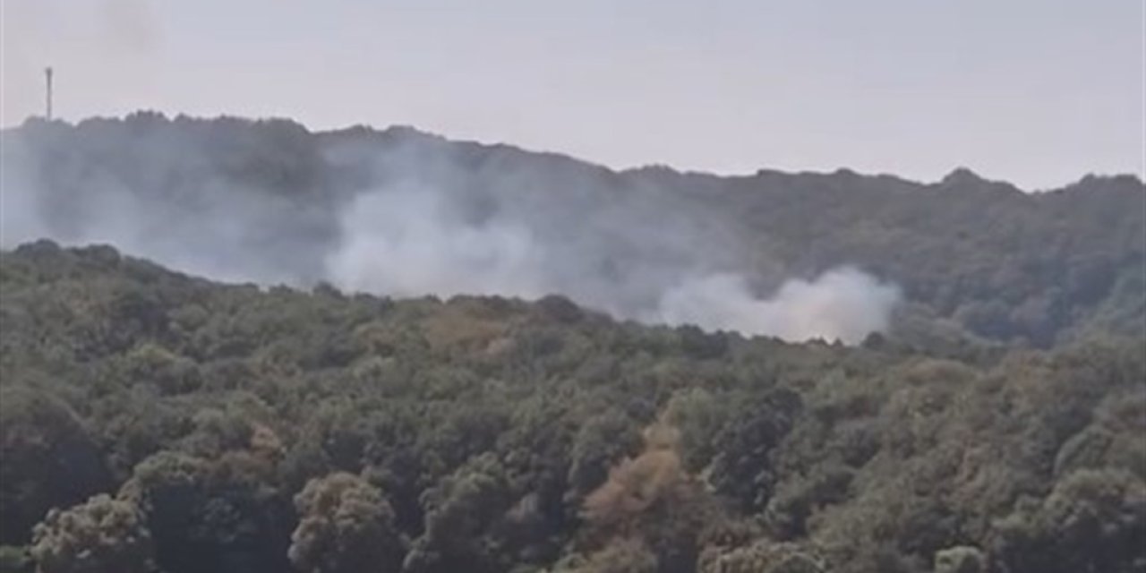 İstanbul Sarıyer'de orman yangını