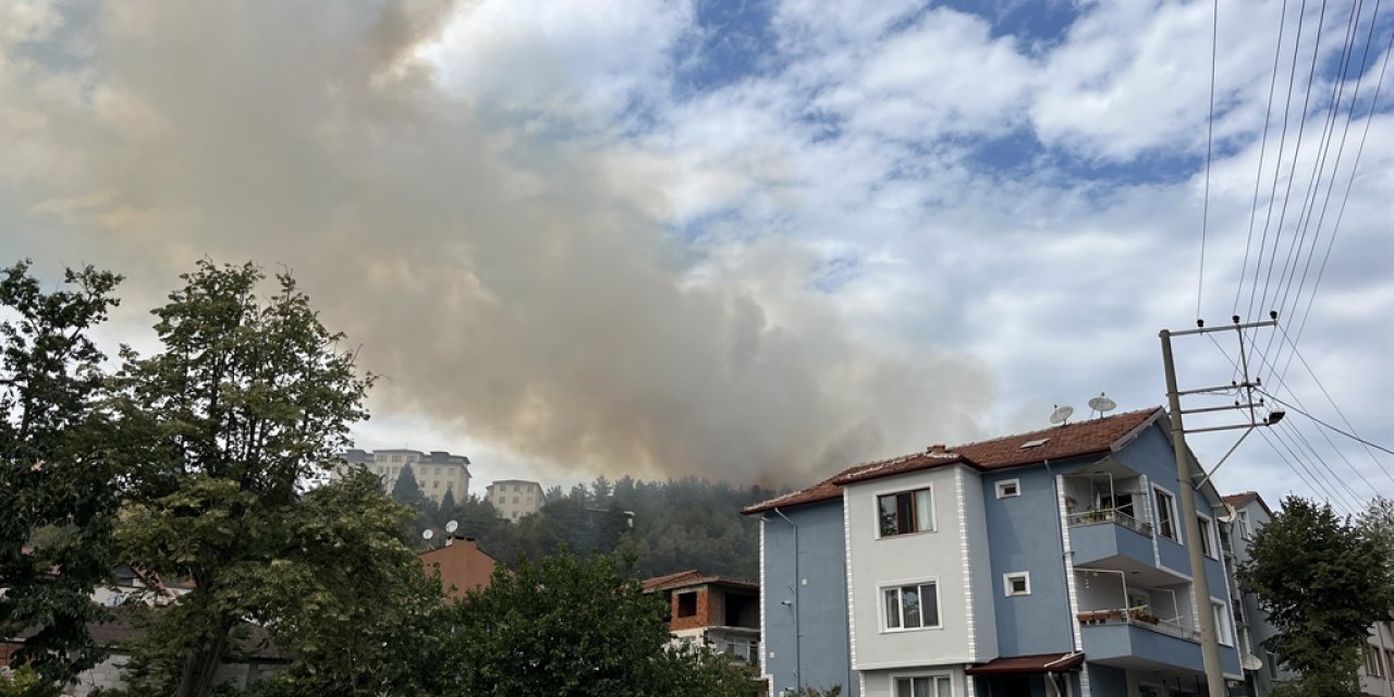 Kocaeli’de orman yangını