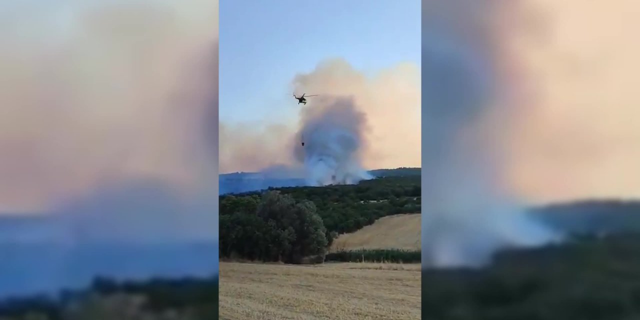 Balıkesir Susurluk'ta orman yangını
