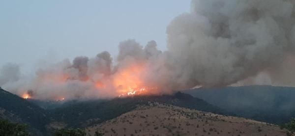 Aydın'ın Karacasu ilçesinde de orman yangını