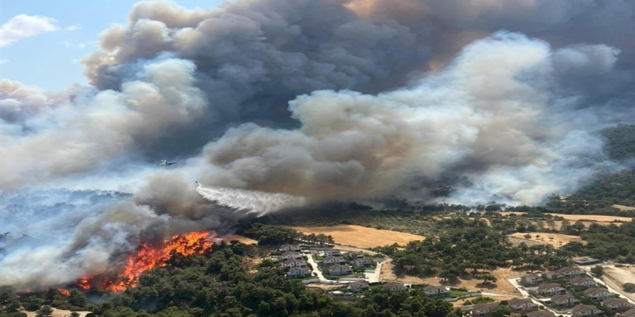 Orman yangınları denizleri de tehdit ediyor: Karbon karası ve kül, sualtı ekosistemini yok ediyor