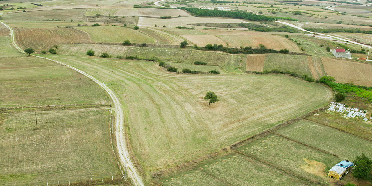 Kullanılmayan tarım arazileri kiralanıyor: Tapu sahibinin haberi olmayabilir