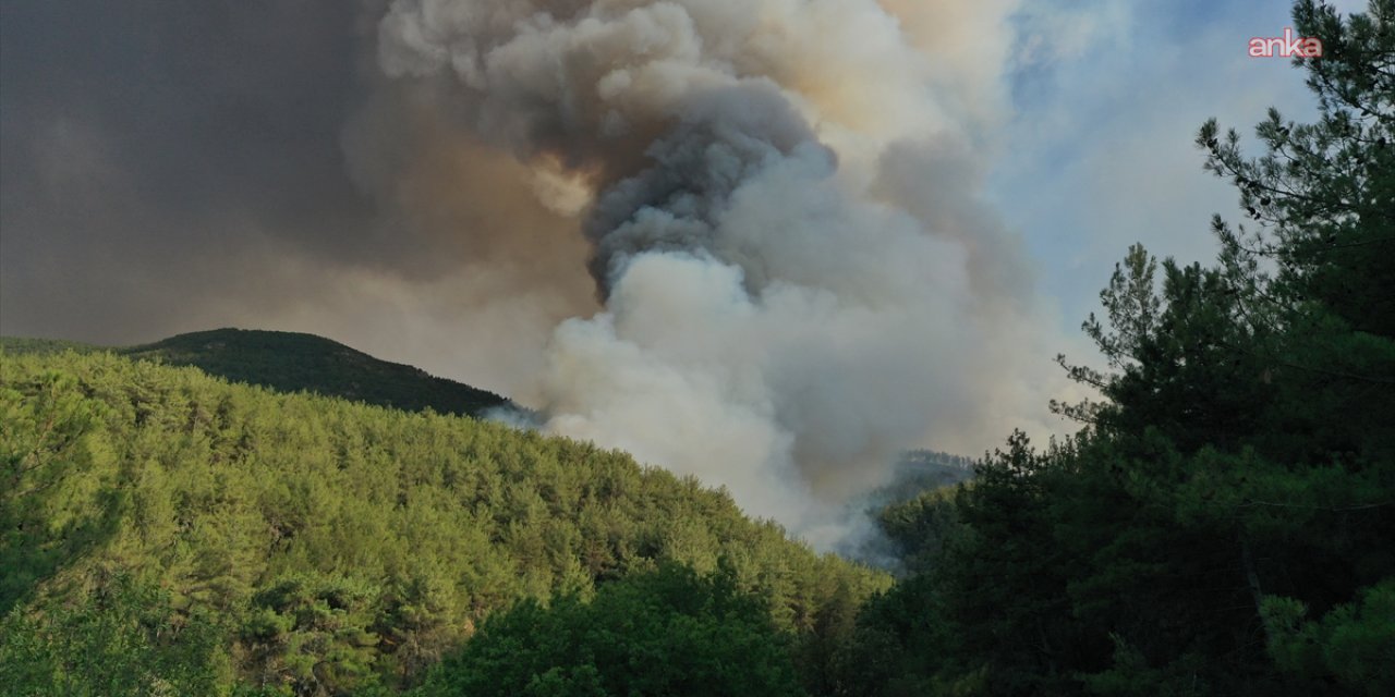 Karabük'te dün başlayan yangın Kastamonu'ya sıçradı