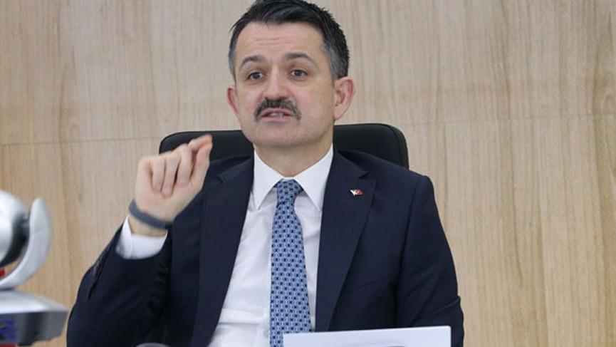 Orman yangınlarından 15 gün önce Pakdemirli: "Çakmak yaksalar yakalıyoruz, inanılmaz başarılıyız"