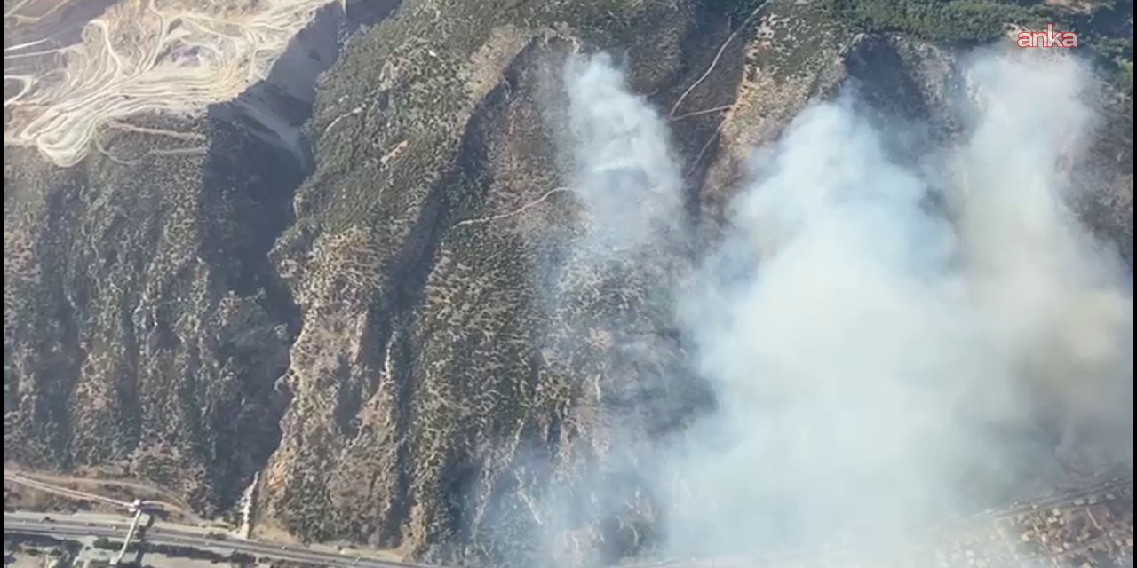 Aydın'da yol kenarında başlayan ot yangını ormana sıçradı