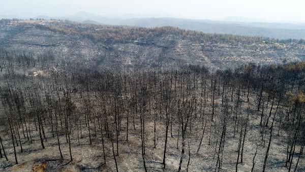 Orman yangınları Guardian’da: “Hükümete öfke büyüyor”