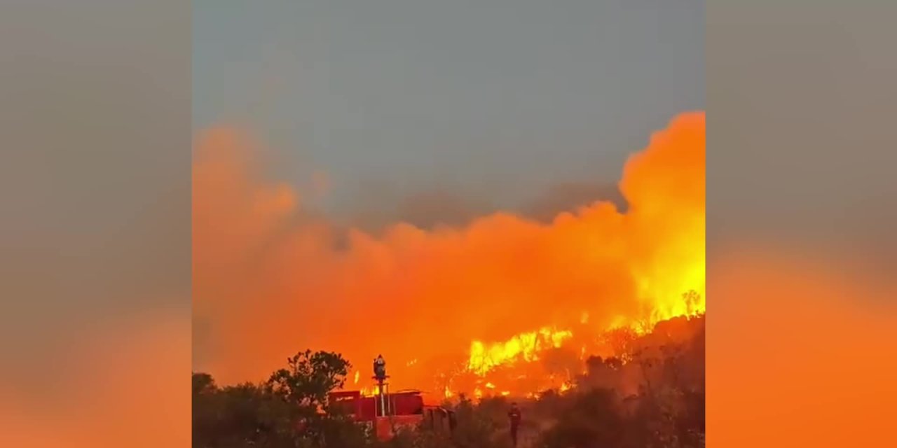 Balıkesir'de orman yangını çıktı