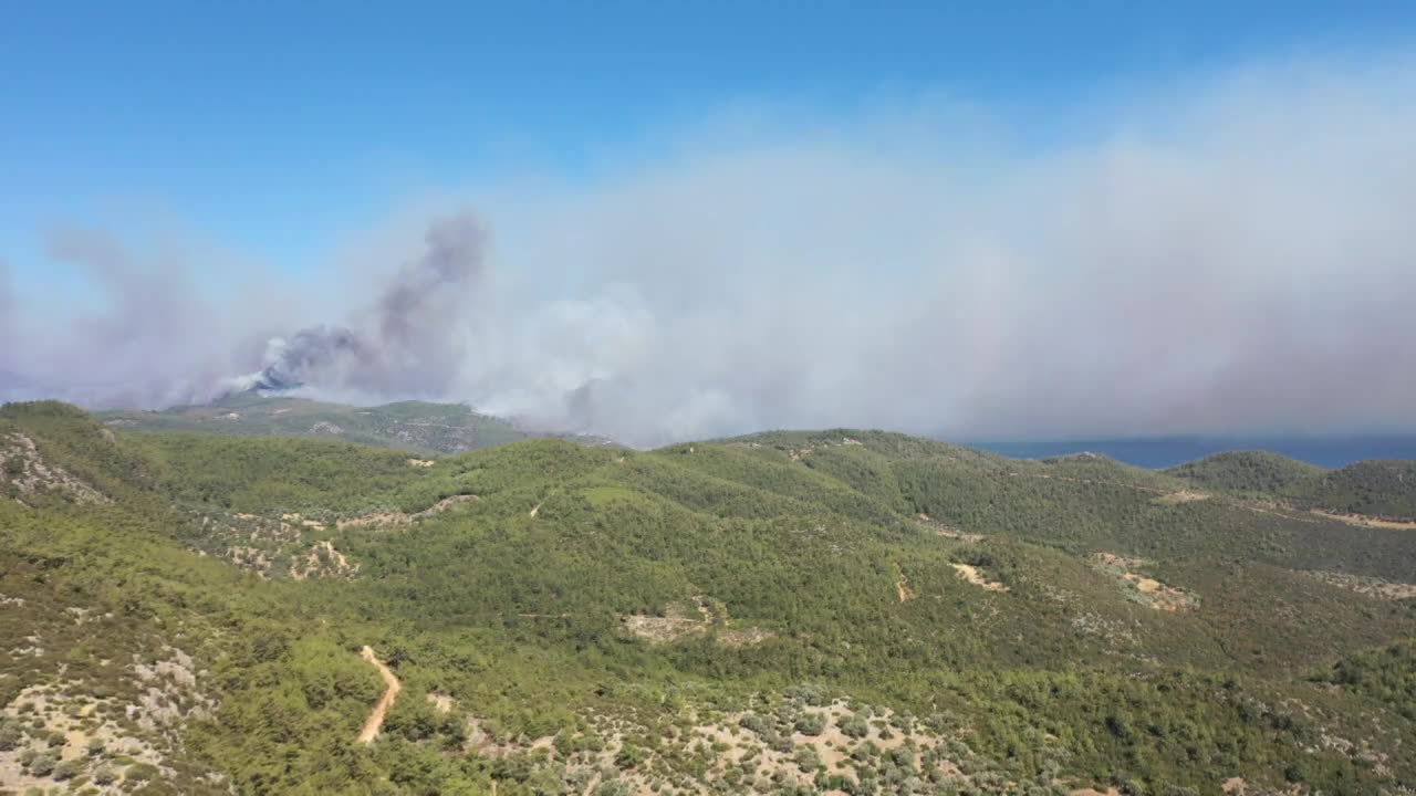 Muğla'da 62 bin 213 hektar alan yandı