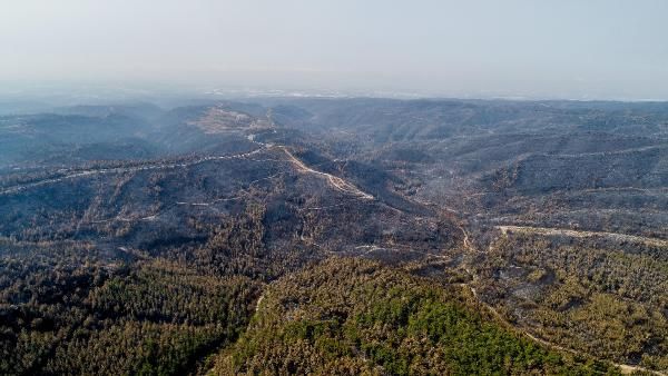 Bakan Pakdemirli: Antalya ve Gündoğmuş yangınları kontrol altına alındı