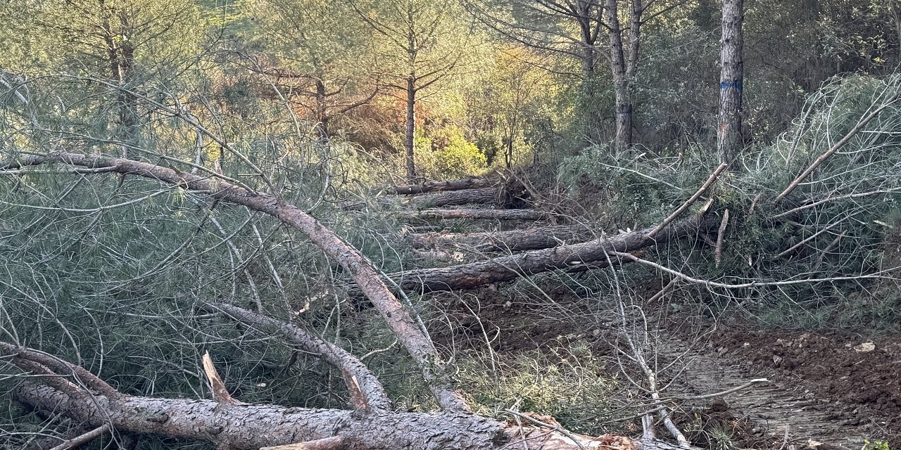 Danıştay, Belevi-Tire yolunun yapımıyla ilgili davada yürütmeyi durdurdu