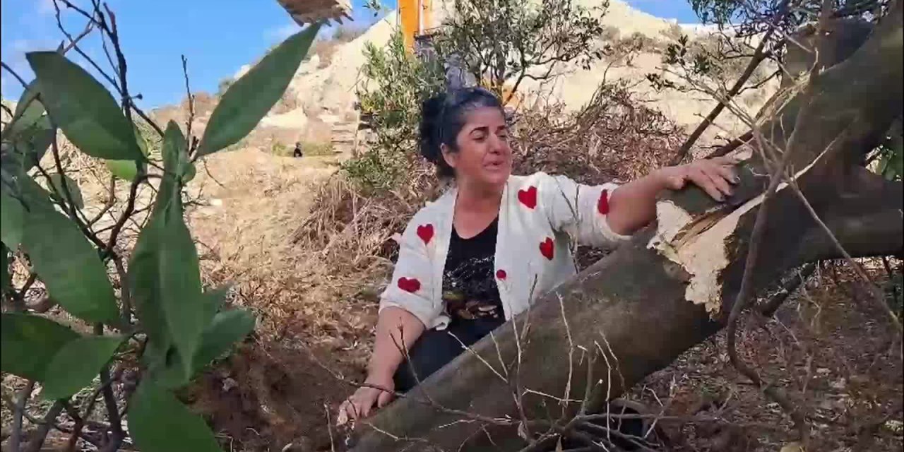 Hatay'da mahkeme süreci devam eden arazilere kepçeler girdi