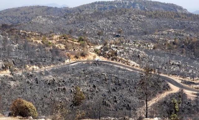 Antalya: Orman ve toprak aynı renk oldu, kalan ağaçlar içten içe yanıyor