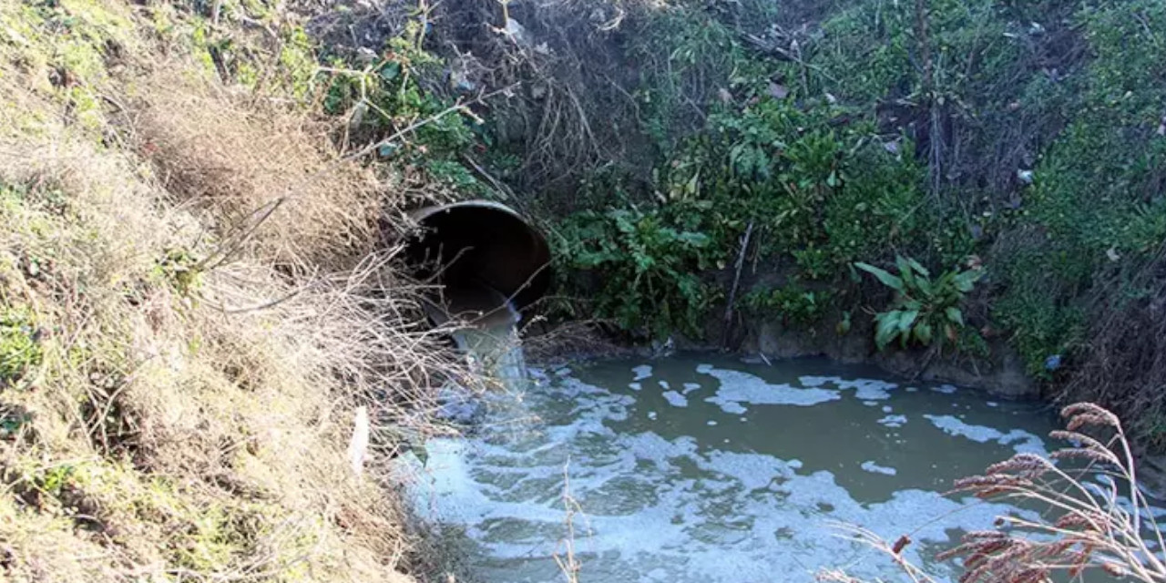 AYM’den çevreci karar: Kanalizasyon suyunu arıtmadan döken belediye, manevi tazminat ödemeli