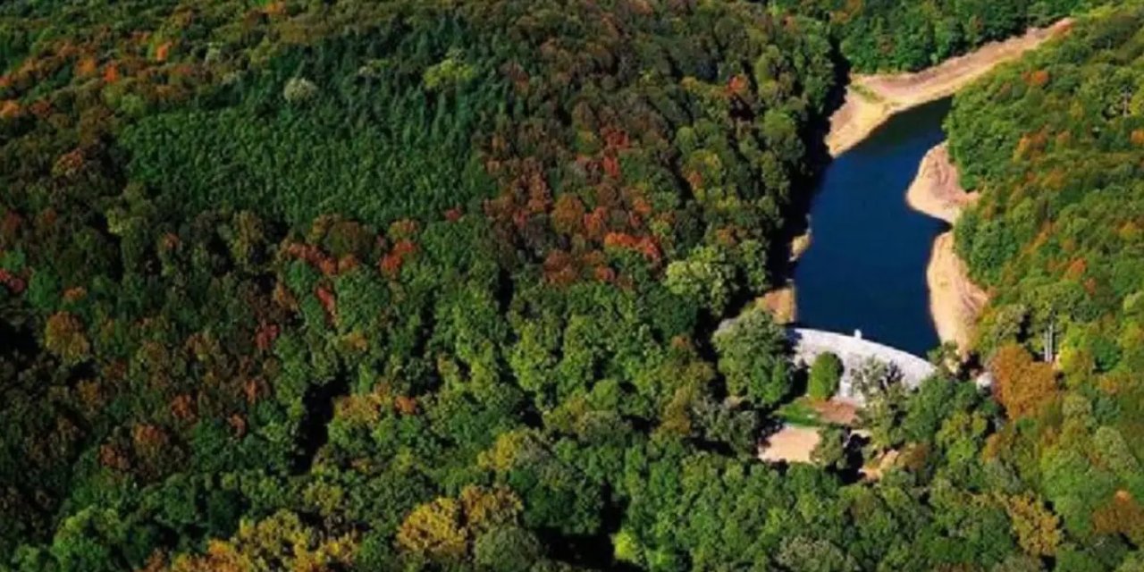 Yeni yönetmelikle 248 bin hektar muhafaza ormanı madencilik tehdidi altında