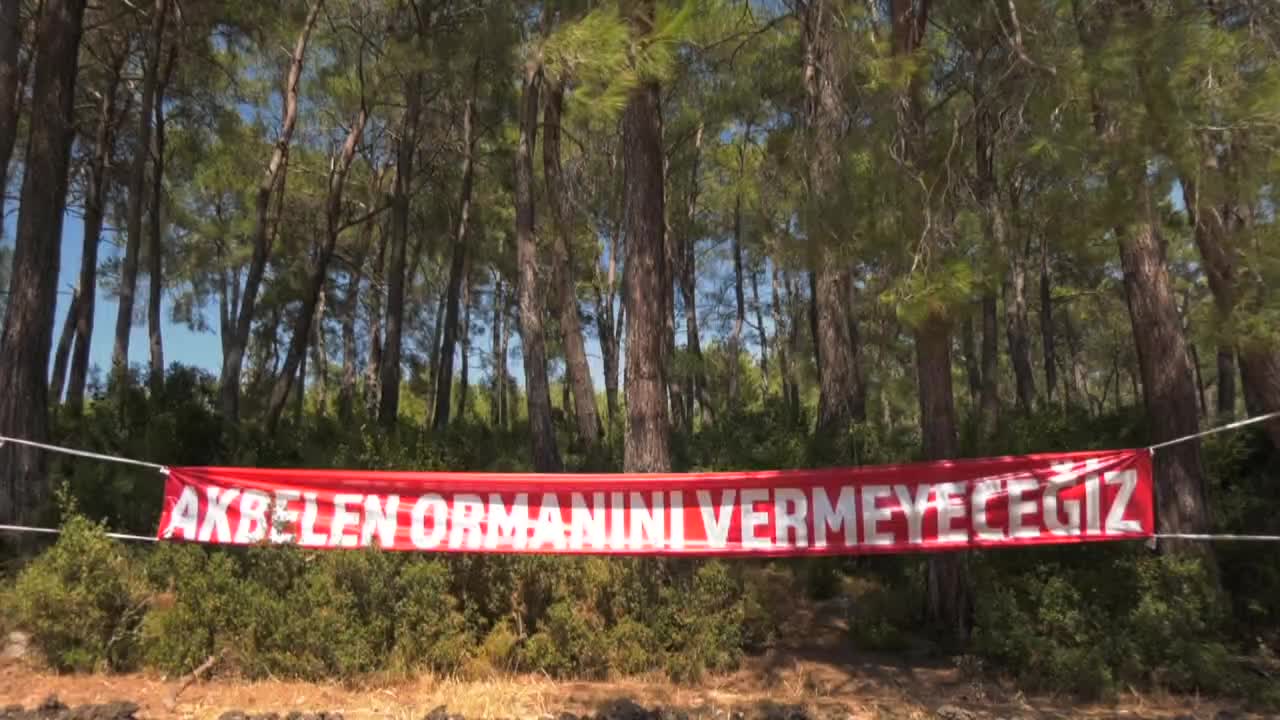 İkizköy sakinleri: Akbelen ormanlarında bir tane ağaç kestirmeyeceğiz, yaktırmayacağız