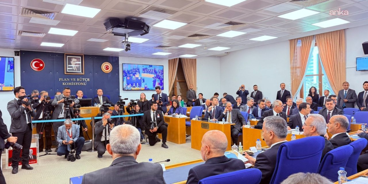 Meclis'te kadına karşı şiddet tartışması... AKP'li Nilgün Ök'e tepki