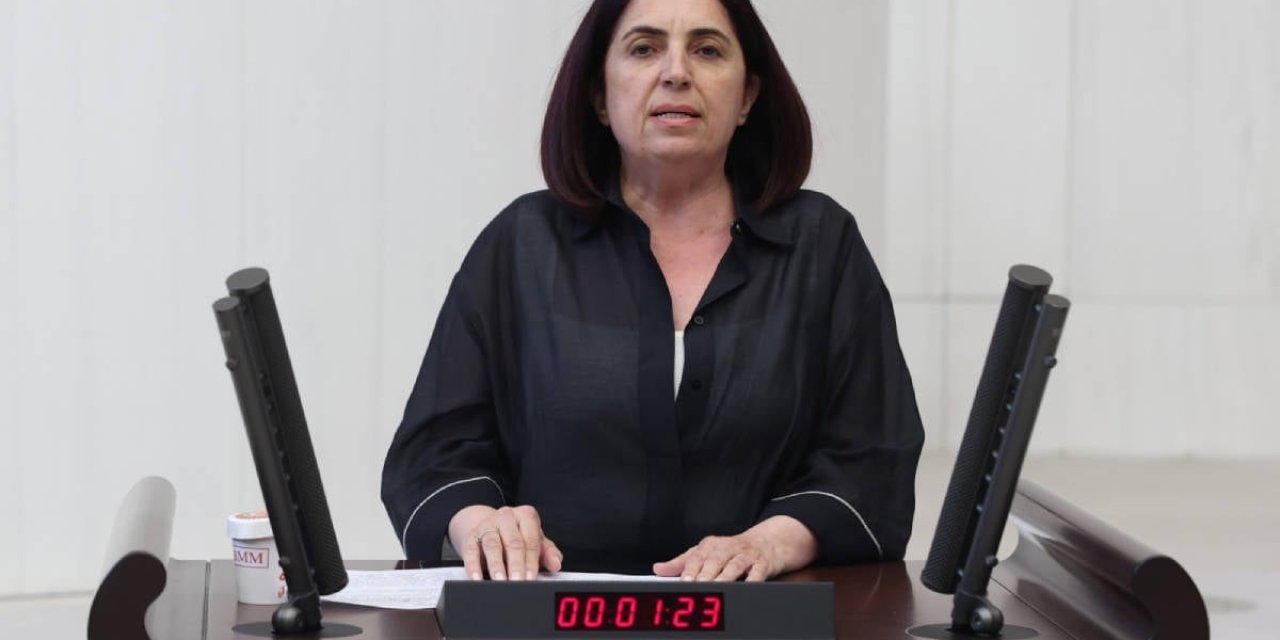 DEM Partili Çelenk: Milliyetçi ve kriz odaklı dış politika umutları azaltıyor