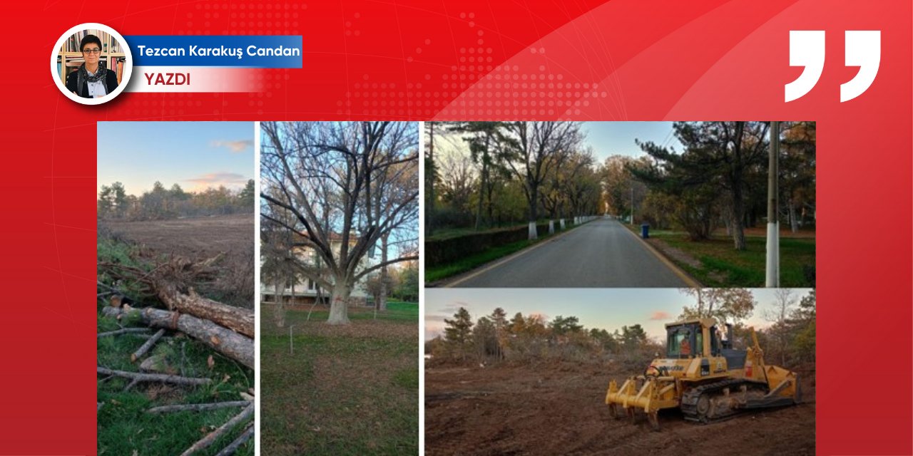 NATO zirvesinin gölgesinde: Etimesgut’ta silinen hafıza