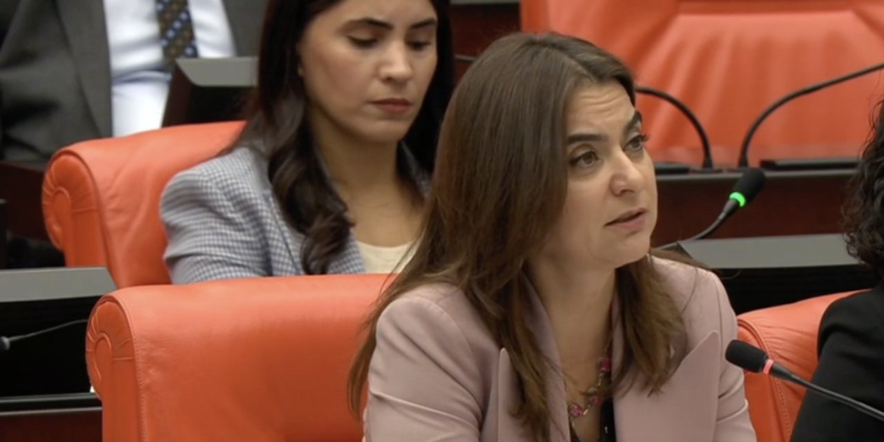 DEM Partili Koçyiğit: İmralı ziyareti ile süreçte bir eşik daha aşılmıştır