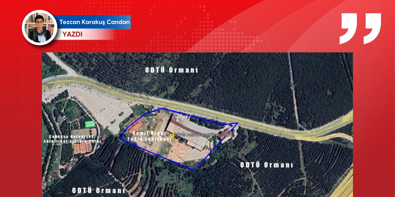 ODTÜ Ormanı çeperinde ısrarlı rant kuşatması