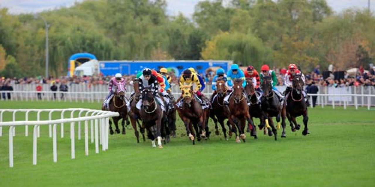 Eski basketbolcunun şirketi, at yarışlarının bahis organizasyonunu devraldı