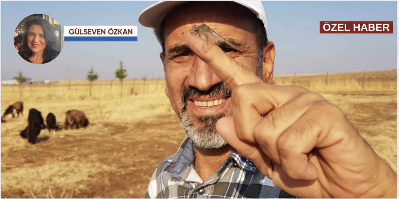 Üniversite odasından tarlaya: Hafızada tankların izi ve toprakla gelen yeni hayat