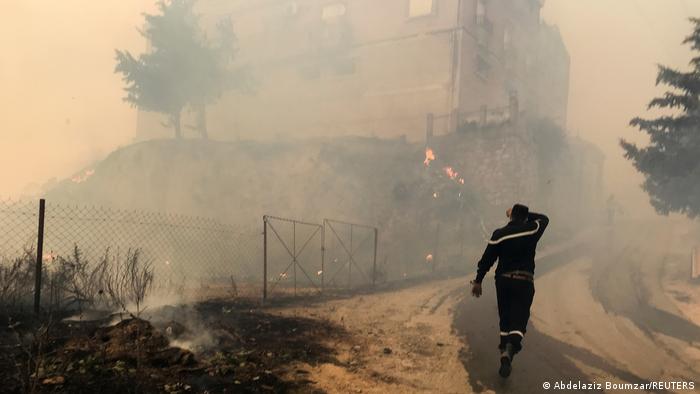 Akdeniz'de orman yangınları sürüyor, Cezayir'de 42 kişi öldü