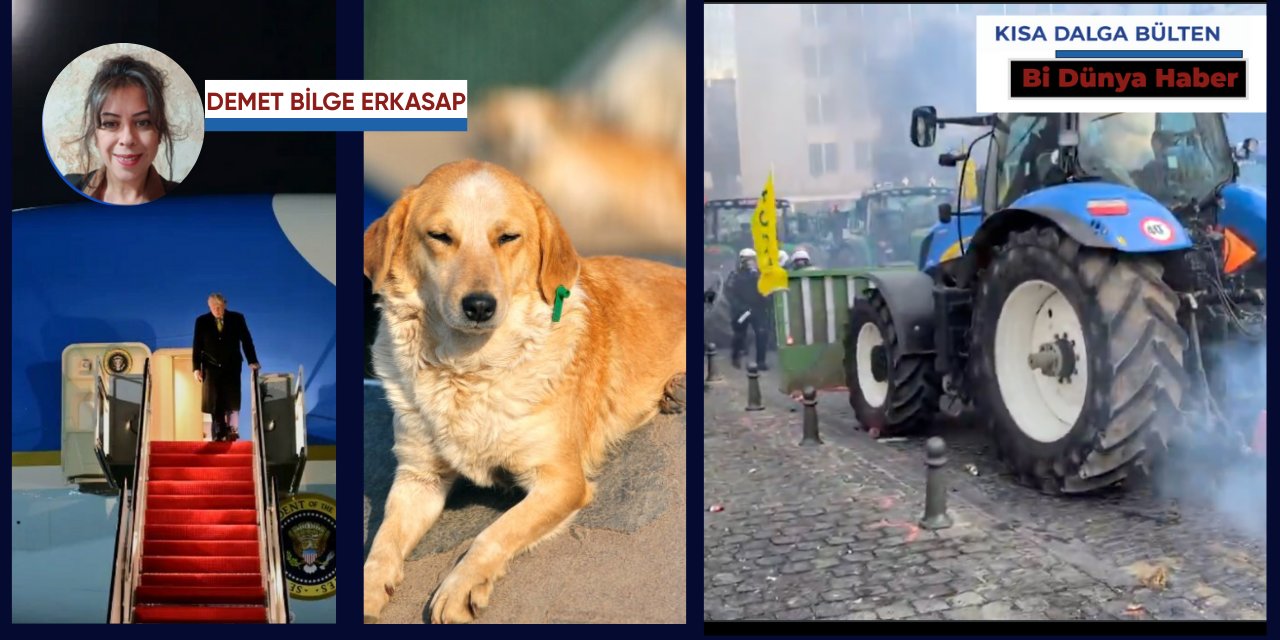 Bi dünya haber... | Hangimiz ağlamadık çılgınlar gibi?