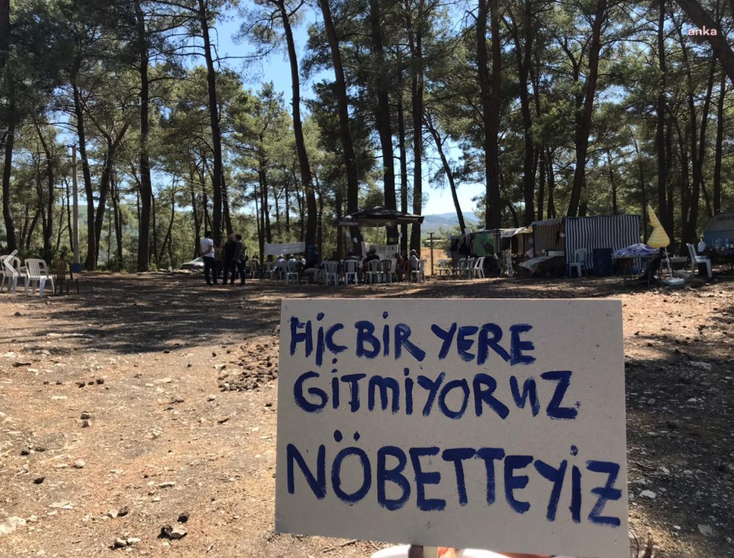 Akbelen'de ağaçları koruyanlar kazandı, mahkemeden yürütmeyi durdurma kararı