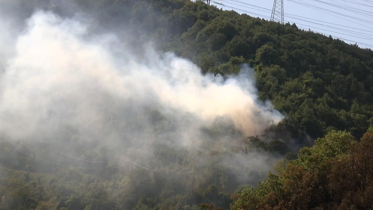 Sarıyer'de son 3 gündür aynı bölgede üçüncü orman yangını
