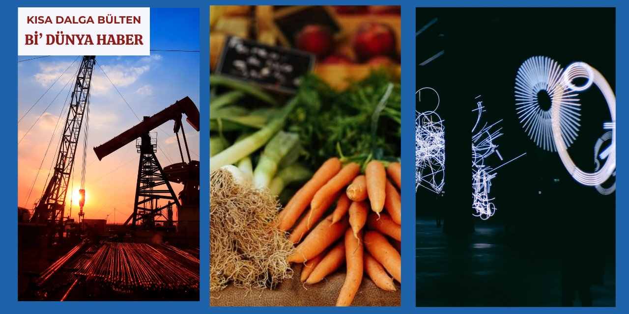 İspanya'yı kurtaran hamle - Yapay zekanın yarattığı yeni meslek - Kirpileri koruyalım