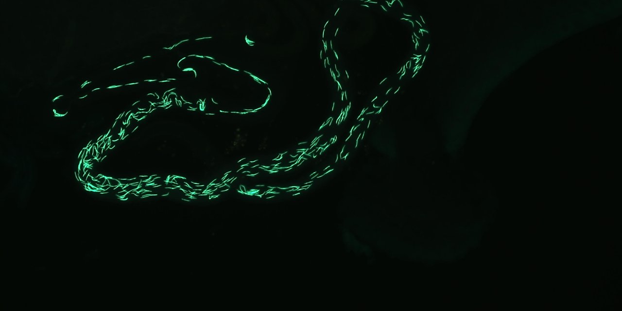 Oxford Üniversitesi’nin araştırmasında ezber bozan sonuç: Sık boşalma sperm kalitesini artırıyor