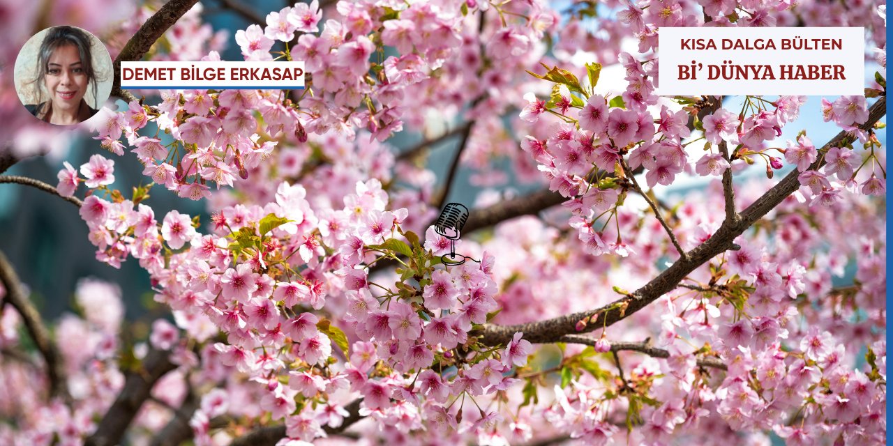 Arkeolojiyi karıştıran fosil -  Bahar yorgunluğu yokmuş - Eggflasyon