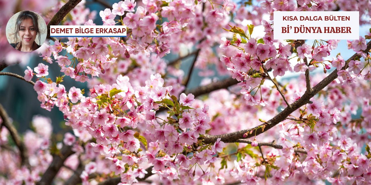 Arkeolojiyi karıştıran fosil -  Bahar yorgunluğu yokmuş - Eggflasyon