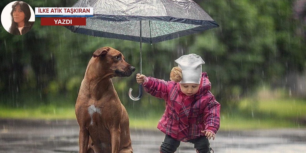 Merhamet medyadan öğrenilebilir mi?