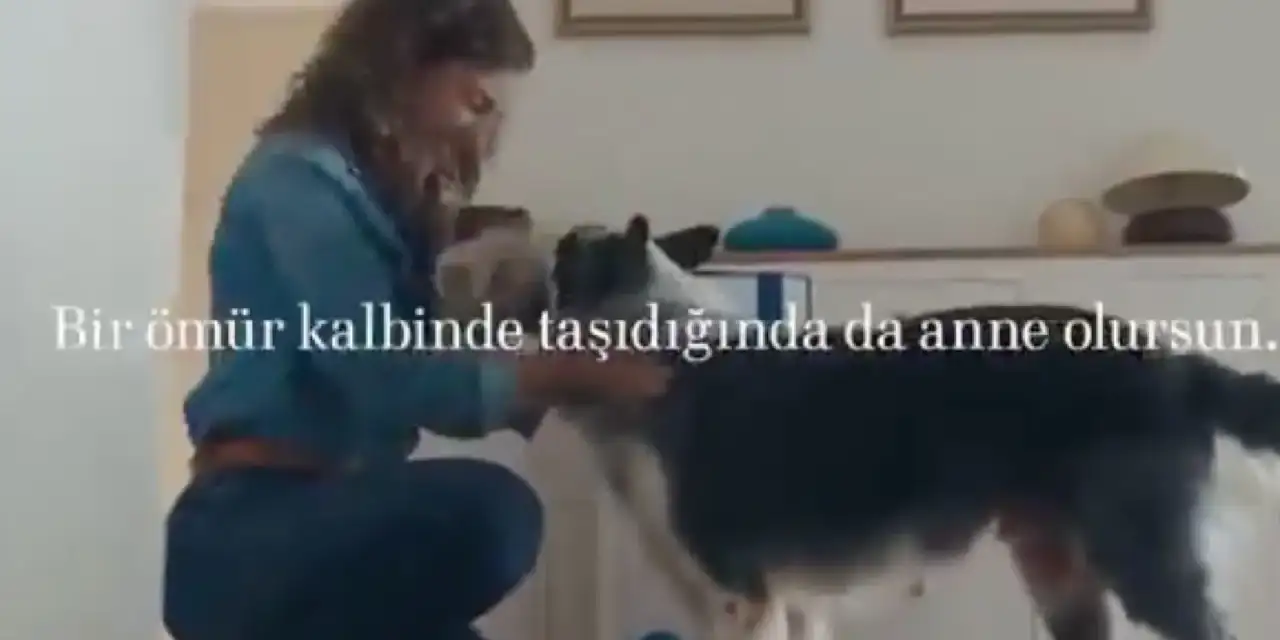 Bir reklamın yayından kaldırılma hikayesi