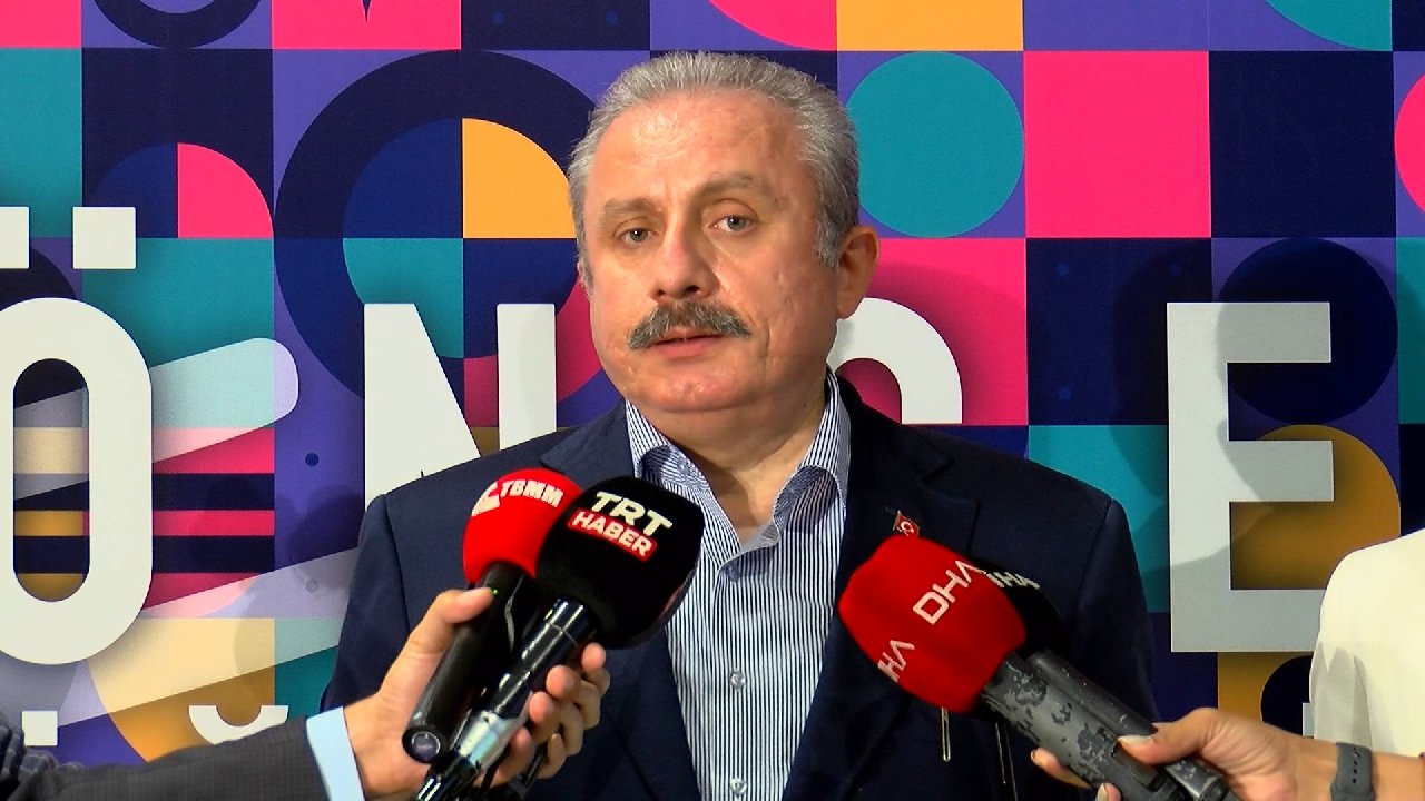 TBMM Başkanı Şentop: "Bozkurt'ta yapılaşmaya izin verilmemeliydi"