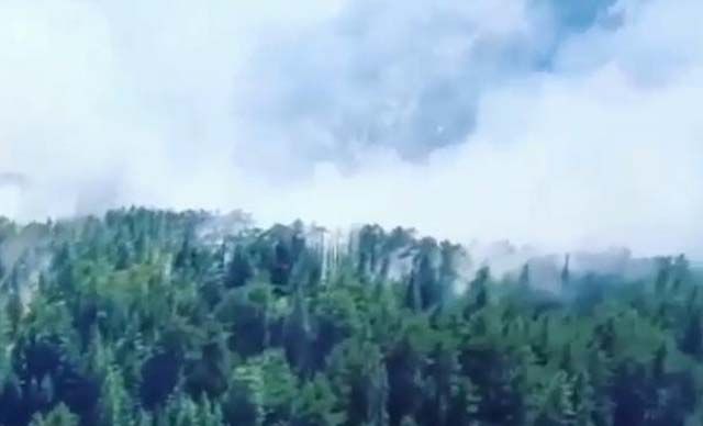 Antalya Akseki’de orman yangını