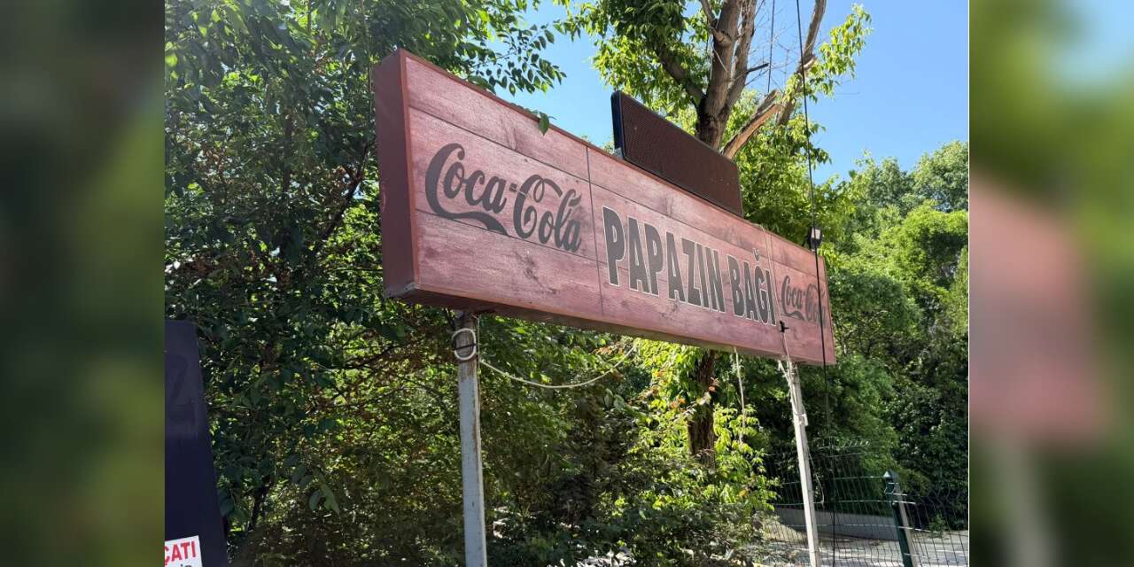 Papazın Bağı’nda bize ait olan serinliğe tutunmak