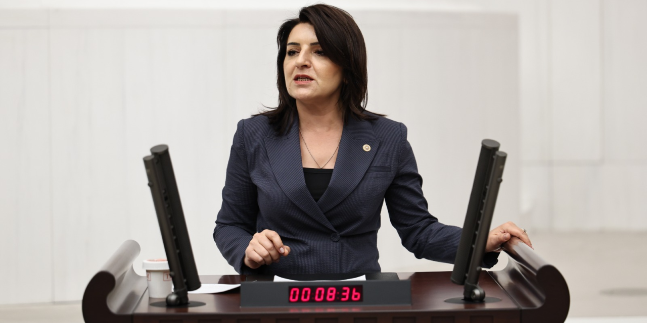 CHP'li Gülcan Kış: Ekonomi yüzde 2,5 büyüyor ama vatandaşın 