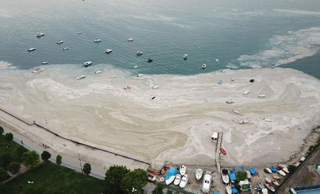 İstanbul Çevre Müdürlüğü 7 Temmuz'dan beri denizlerde görülmeyen müsilajı temizletmek için ihale açmış