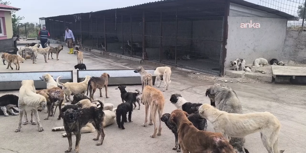 Bakanlıktan Köyceğiz ve Narman Belediye Başkanları hakkında soruşturma izni
