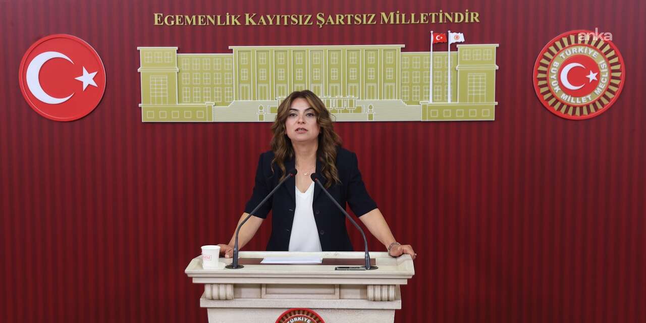 Koçyiğit: AKP’nin yasa taslağını bu hafta İmralı Heyeti'ne aktarmasını bekliyoruz