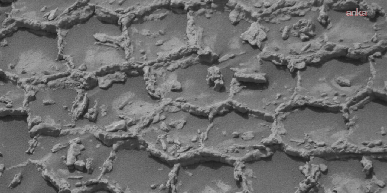 Mars'ta bal peteğini andıran yapılar görüntülendi