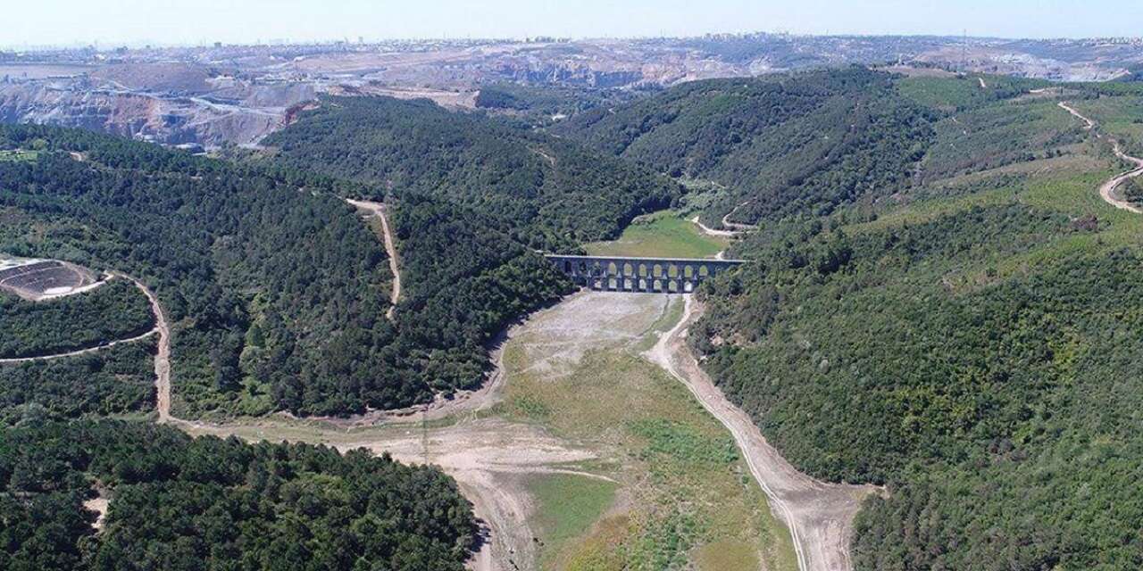 İstanbul'da kuvarsit maden ocağına “ÇED Olumlu” kararı: 24 bin ağaç kesilecek