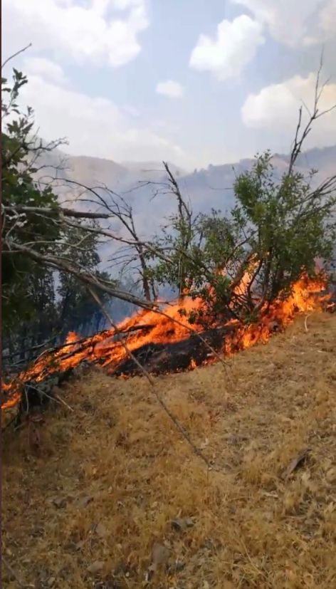 Şemdinli kırsalı 3 gündür yanıyor, Belediye Başkanı "Yaygara" diyor