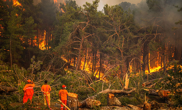 Antalya'da orman yangını çıkan, Sinop ve Kastamonu'nda da sel yaşanan bölgelere acil kamulaştırma