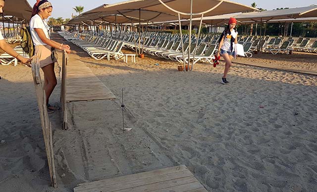 Otelin plaja koyduğu platform yüzünden 60 caretta caretta öldü