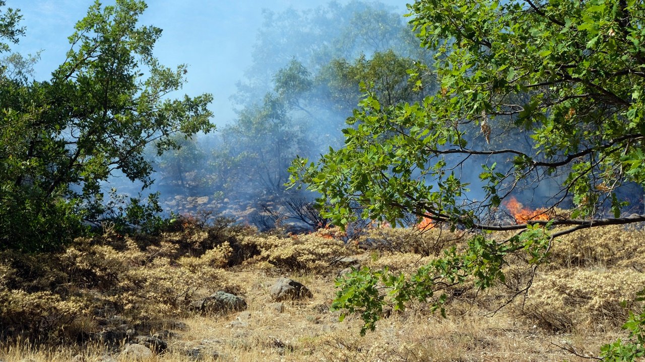 Bingöl'de orman yangınına 3. günde müdahale sürüyor
