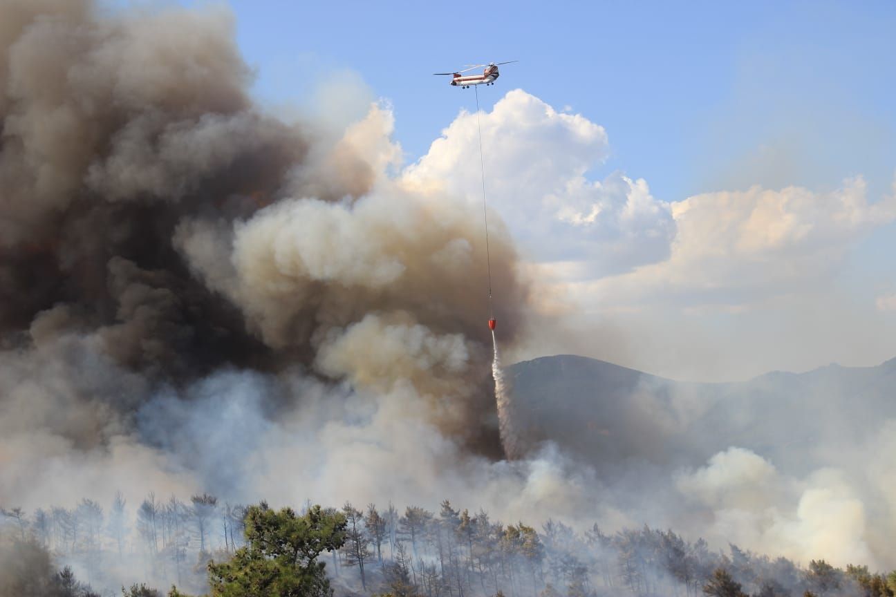 Çanakkale'de orman yangını